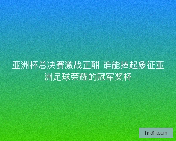 亚洲杯总决赛激战正酣 谁能捧起象征亚洲足球荣耀的冠军奖杯